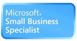 ms-small-biz